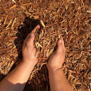 Blonde Mulch