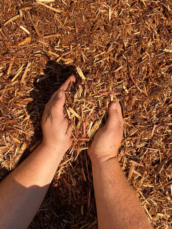 Blonde Mulch
